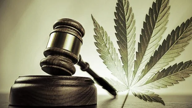 Mazo judicial junto a una hoja de cannabis
